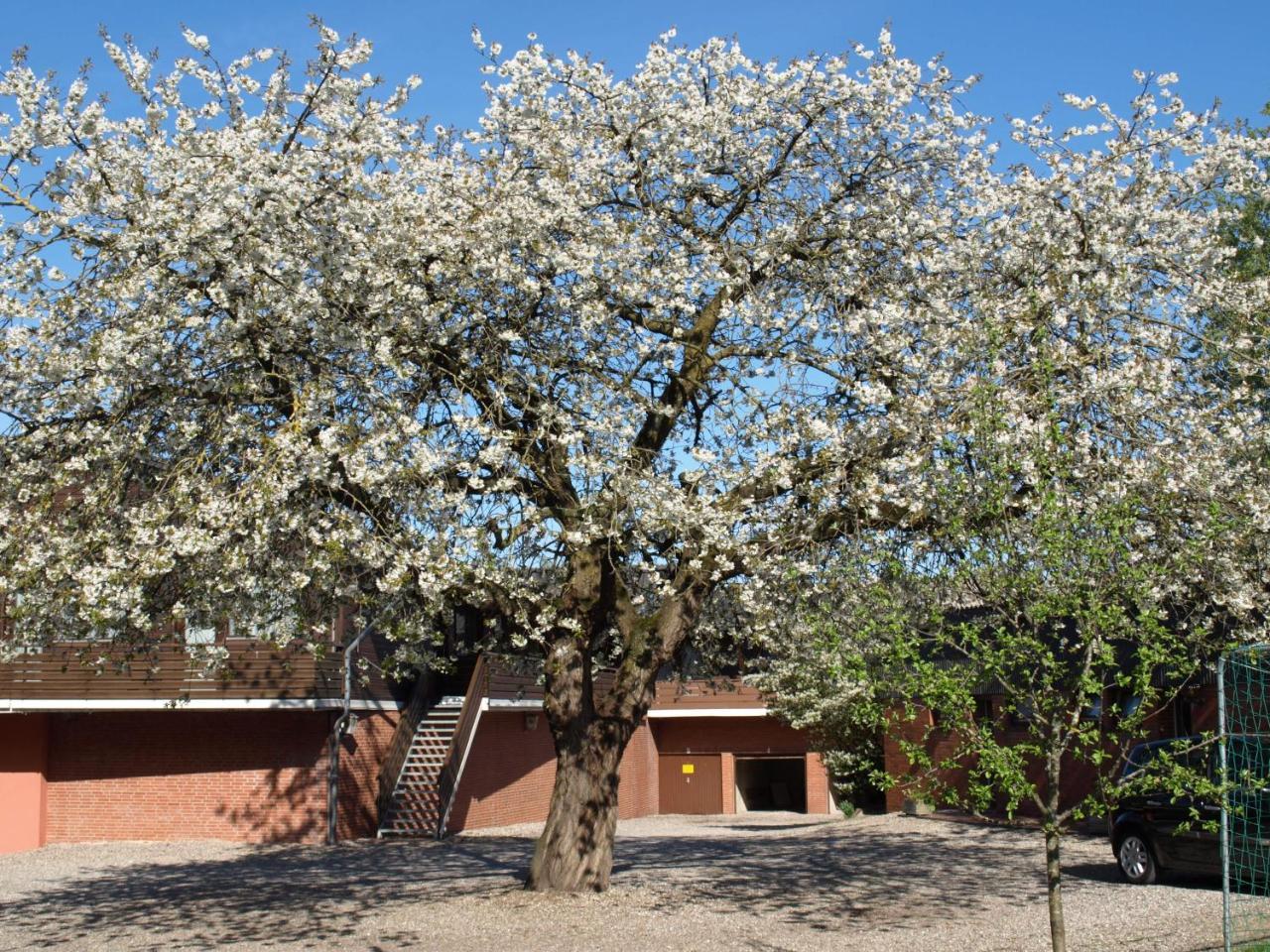 Hotel Gammelby Eckernförde Zewnętrze zdjęcie